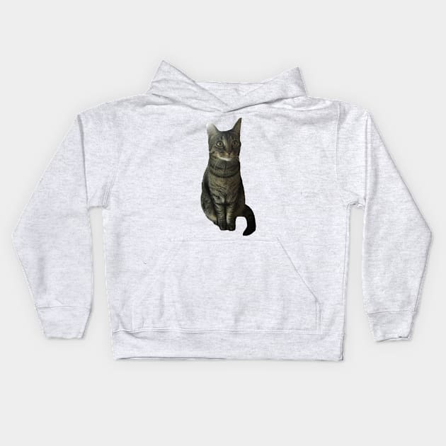 Good Kitty Kids Hoodie by Amanda1775